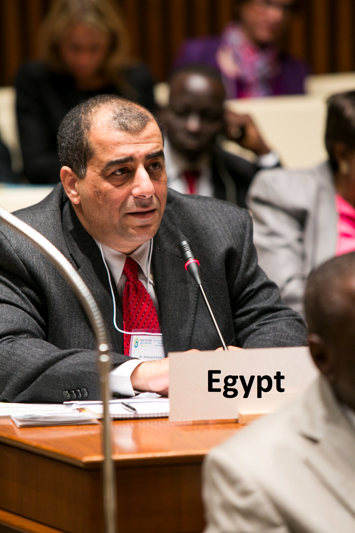 Prof. Mohamed Rami Mahmoud